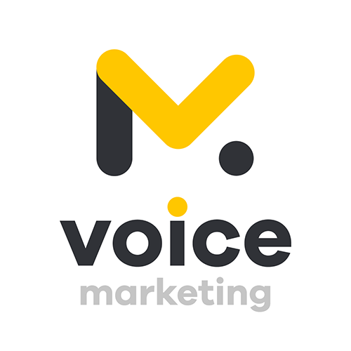 Безоплатний аудит рекламного кабінету бізнесу та сайту від Voice Marketing